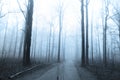 Bike trail through tall trees Royalty Free Stock Photo