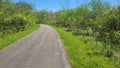 Bike trail in tinley park illinois Royalty Free Stock Photo