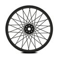 Bike wheel