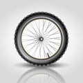 Bike wheel