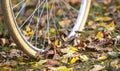 bike wheels, pneumatics on an autumn leaves, image of a