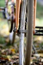 bike wheels, pneumatics on an autumn leaves, image of a