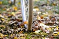 bike wheels, pneumatics on an autumn leaves, image of a