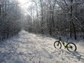 Bike winter wood