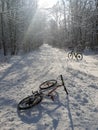 Bike winter wood