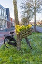 Bike with yellow daffodil Teh Netherlands Royalty Free Stock Photo