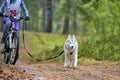 Bikejoring sled dog mushing race Royalty Free Stock Photo