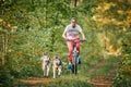 Bikejoring sled dogs mushing race, fast Siberian Husky sled dogs pulling bikes with dog mushers