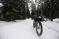 Bikepacking in the Black Forest