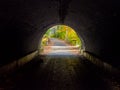 Tunnel, Bikepath in Autumn Forest, Light at the end of the Tunnel Royalty Free Stock Photo