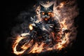 biker cat in action with flames and smoke flying behind it Royalty Free Stock Photo