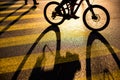 Biker/Cyclist on a crossing in a city