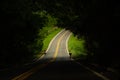 A stretch of the GO-462 highway in GoiÃÂ¡s. Royalty Free Stock Photo