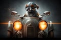 biker dog riding shotgun in sleek and sporty car Royalty Free Stock Photo