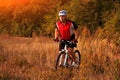 Biker on the forest road riding outdoor