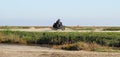 Biker on motorcycle going fast on rural road in Camargue, France