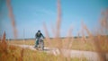 Biker is riding on the road on the wheat field