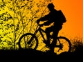 Biker silhouette