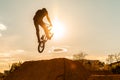 Biker silhouette doing an jump. Man on bmx bike against sunshine sky. High BMX jump. Royalty Free Stock Photo