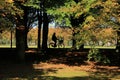 Biker in silhouette in the forest in fall.