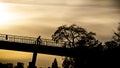 A bikerider drive over a bridge in the late backlight sun. In the background is a tree on the right side