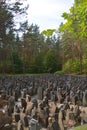Bikernieki Memorial  is a war memorial to Holocaust victims of World War II Royalty Free Stock Photo
