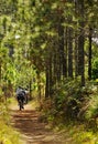 Bikers Cycling in the forest Royalty Free Stock Photo