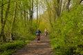 Bikers in a fresh green spring forest in the Flemish counryside