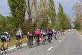 Police car escorting a group of bikers 