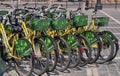 Bicycles. Bikes for borrowed - Brasov, Romania Royalty Free Stock Photo