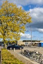 Bikes and cars parked near an autumn tree with vibrant yellow leaves Royalty Free Stock Photo