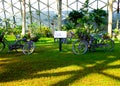 Bikes inside Tropical Exhibition Greenhouse
