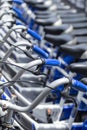 Bikes parking for rent university Royalty Free Stock Photo