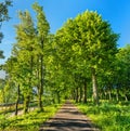 Bikeway along the Rhone - Rhine Canal in Alsace, France