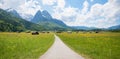 bikeway from Garmisch to Obergrainau, idyllic spring landscape upper bavaria