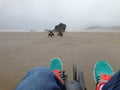 Biking on Cannon Beach in Oregon Royalty Free Stock Photo