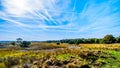 Biking through the heather fields and forests in the Hoge Veluwe nature reserve Royalty Free Stock Photo