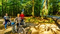 Biking through the heather fields and forests in the Hoge Veluwe nature reserve Royalty Free Stock Photo