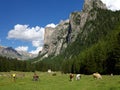 Biking and Hiking in the Dolomites