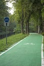 Biking road in green forest Royalty Free Stock Photo
