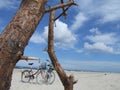 Biking up the coast