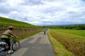 Biking in vineyards Royalty Free Stock Photo