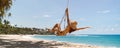 Bikini Beach Girl Model in Black Swimsuit on Palm Tree Swing on Tropical Sea Shore During Summer Vacations Royalty Free Stock Photo