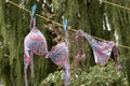 Bikini on clothes line Royalty Free Stock Photo