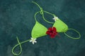 Bikini floating with pumleria and hibiscus flowers Royalty Free Stock Photo