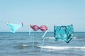 Bikini and swimming trunks on a clothes line Royalty Free Stock Photo