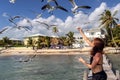 Bikini woman feeds seagulls in Ambergris Caye, Belize. Royalty Free Stock Photo