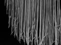 Blackwhite image - Light performance: countless white stripes hanging in the air, abstract scene.