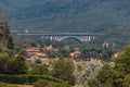 The Bilancino Lake. Lago di Bilancino, Barberino del Mugello, Florence, Italy: landscape at dawn of the picturesque lake in the