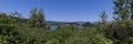 The Bilancino Lake. Lago di Bilancino, Barberino del Mugello, Florence, Italy: landscape at dawn of the picturesque lake in the